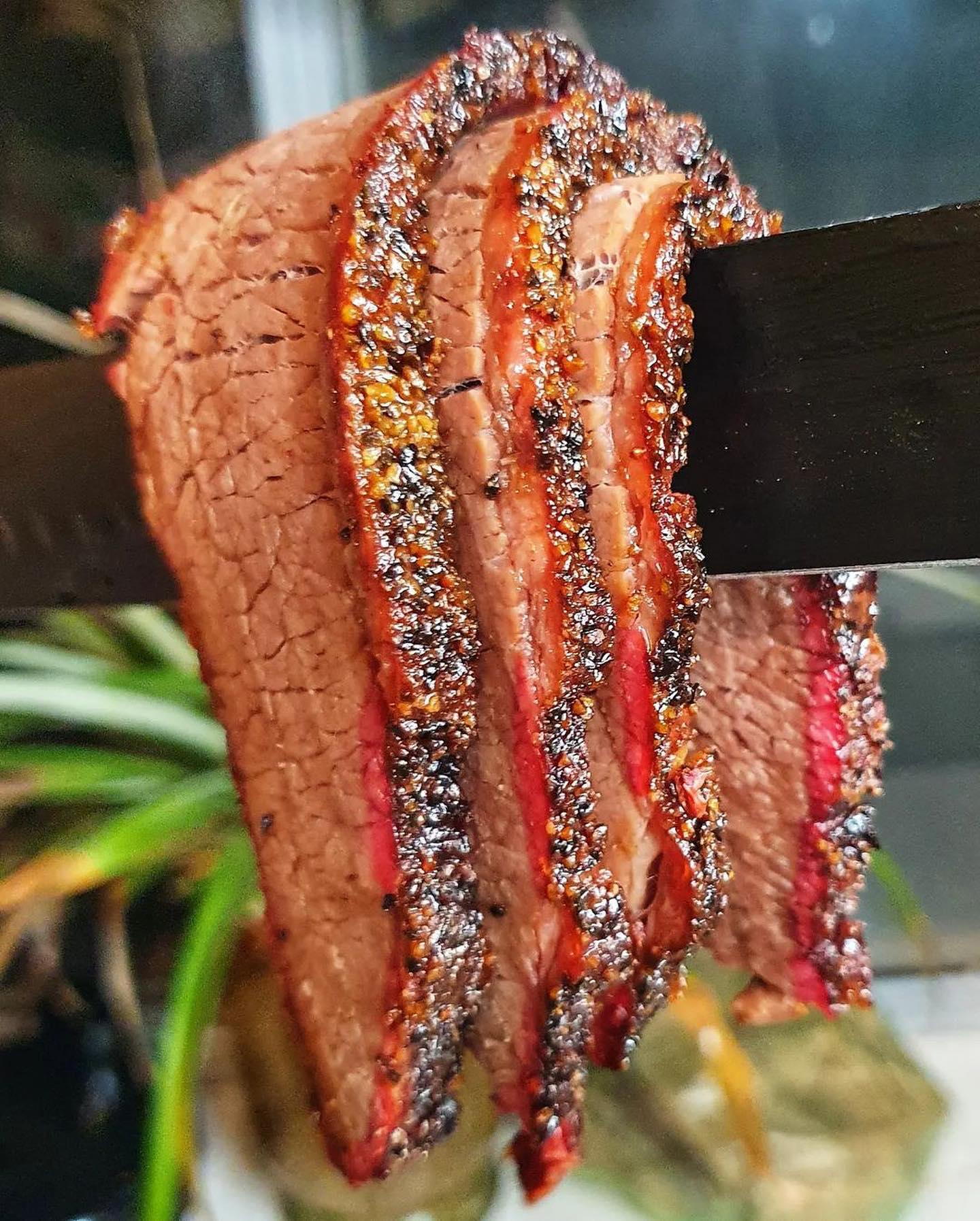 Oakey WAGYU Jautiena | Premium 350d maitinta grūdais „Brisket“ Krūtininė
