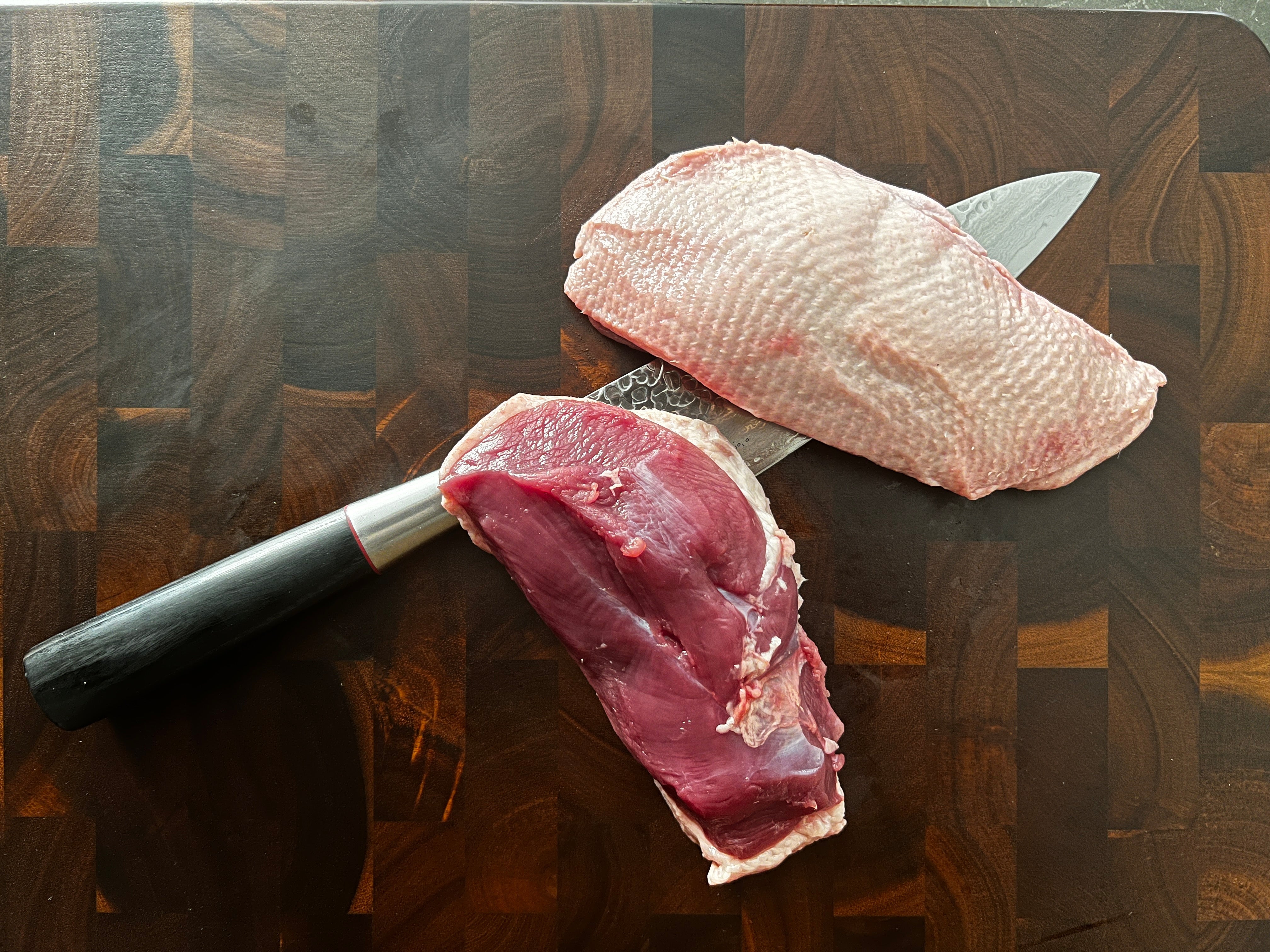 Premium "Penelope" jauna pekino antis | Krūtinėlių filė