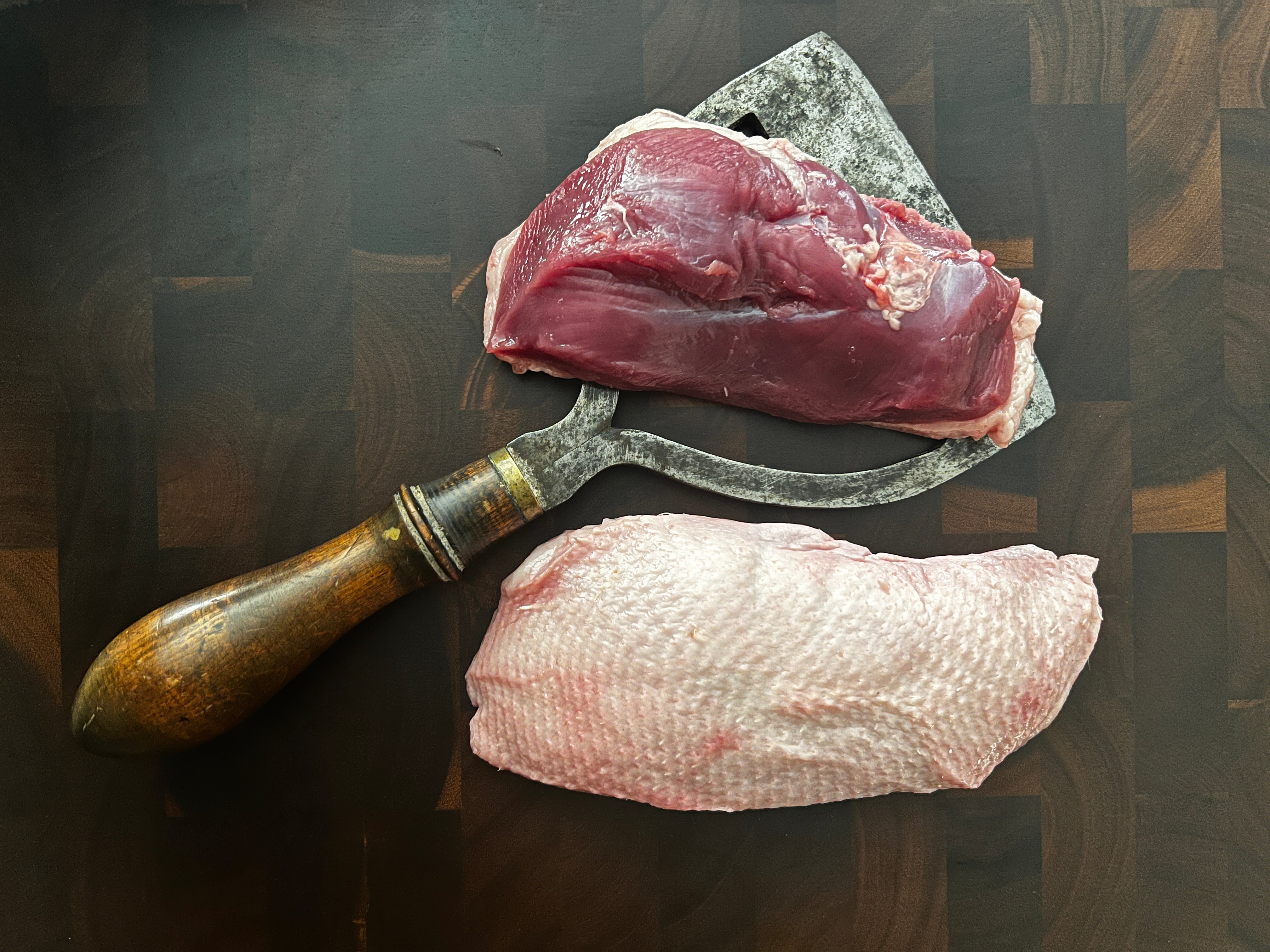 Premium "Penelope" jauna pekino antis | Krūtinėlių filė