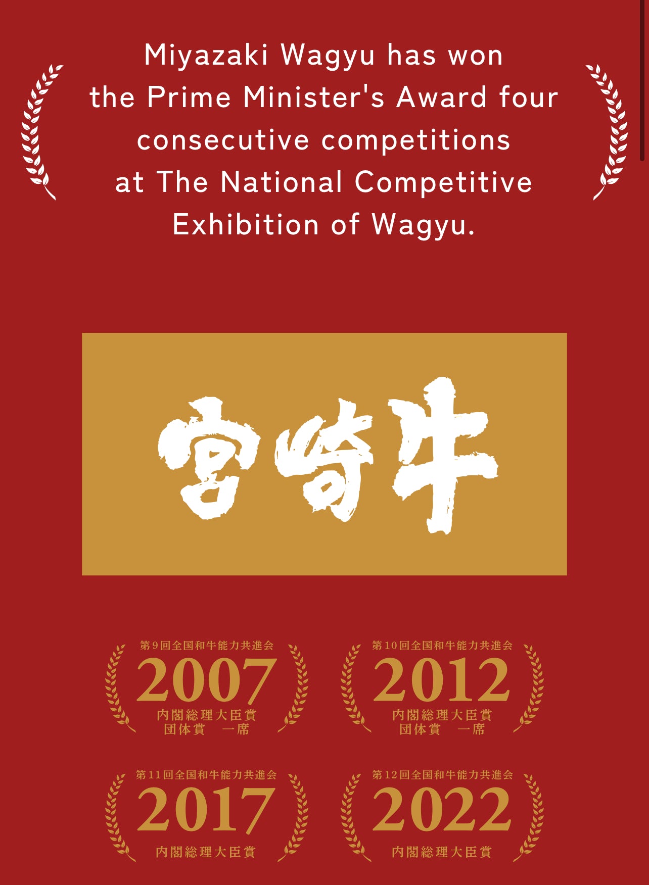 Miyazaki WAGYU Jautiena | A5+ BMS 10-12 „RibEye“ Antrekotas