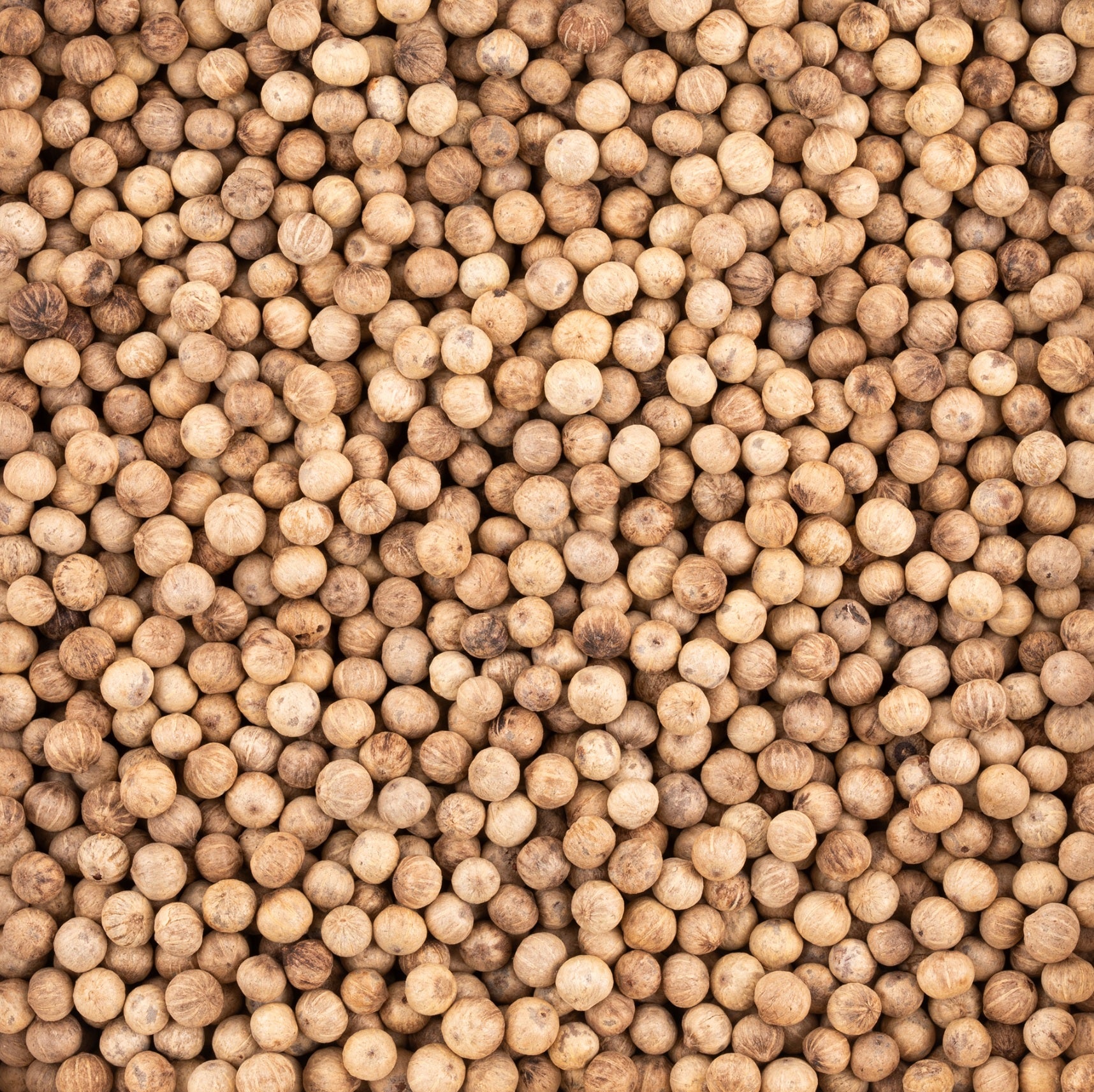 Baltieji pipirai | Kampot 40g