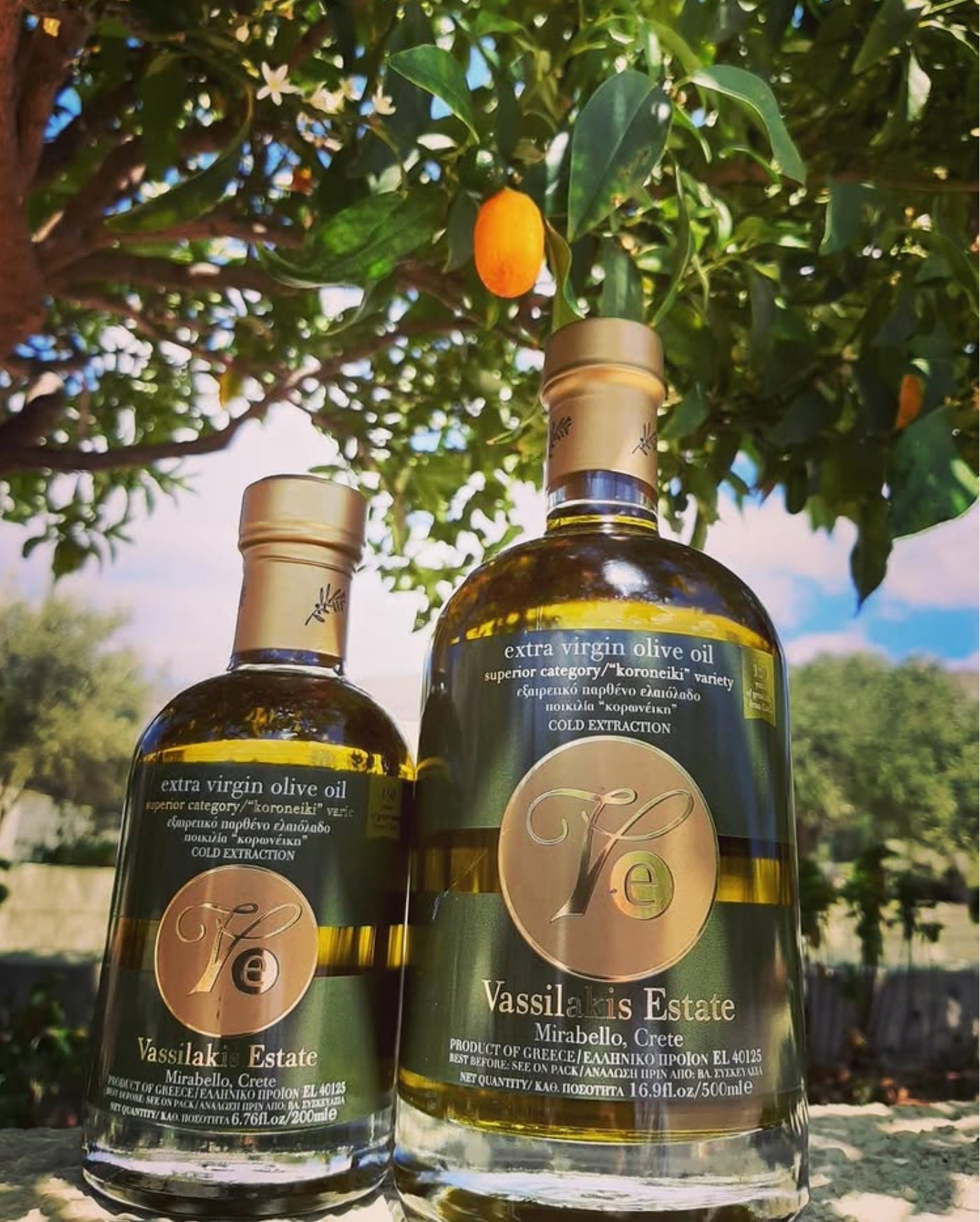 Alyvuogių aliejus "Vassilakis Estate" | Ankstyvo Derliaus | Premium Extra Virgin 200ml