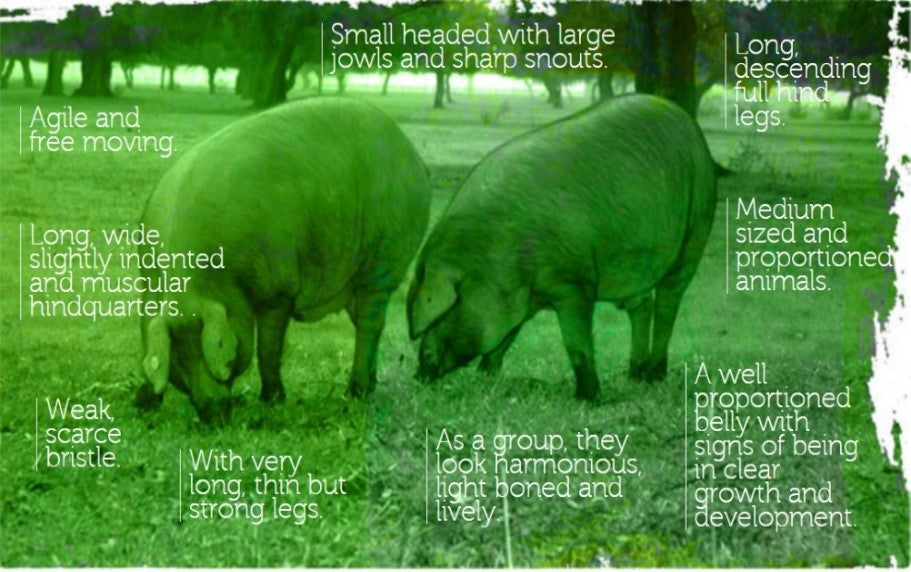 Iberiko Kiauliena „Lardo Aromatizado“ Lašiniai su prieskoniais