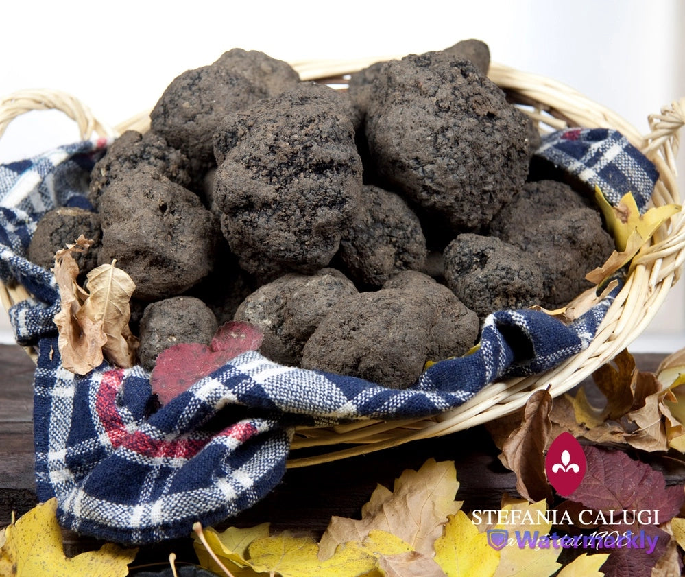 Juodųjų triufelių padažas | BBQ 180g