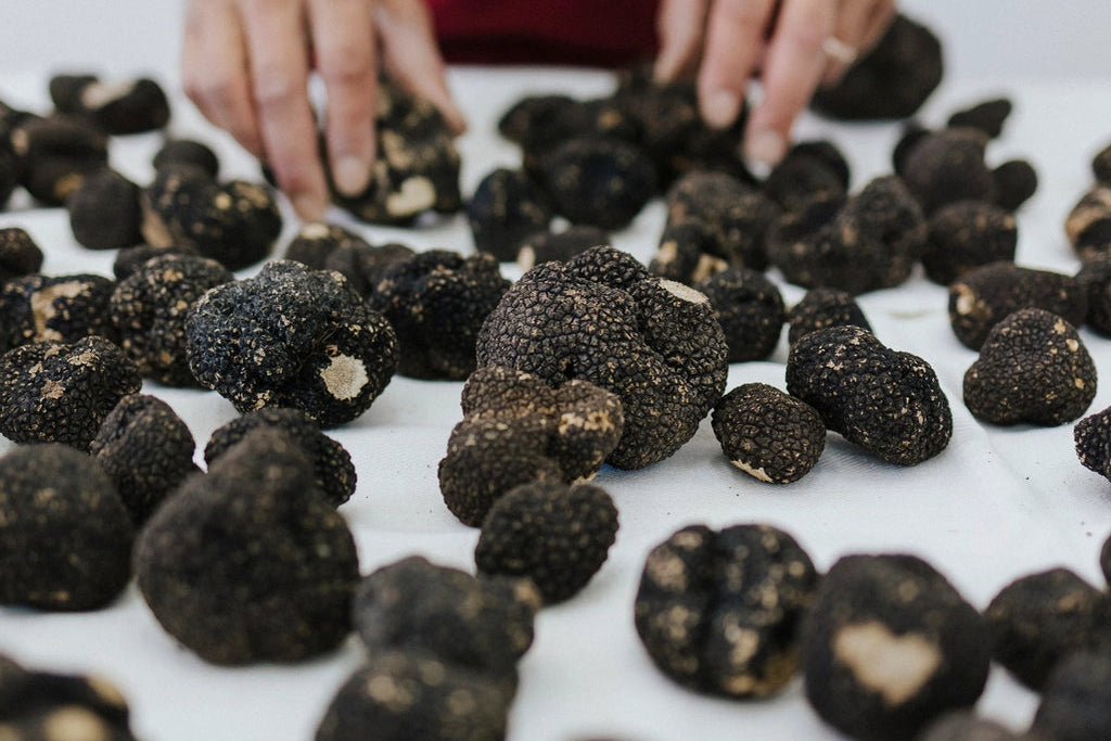 Vasaros trumas natūralioje formoje | "Tuber aestivum Vittsavo" savo sultyse 45/37 g