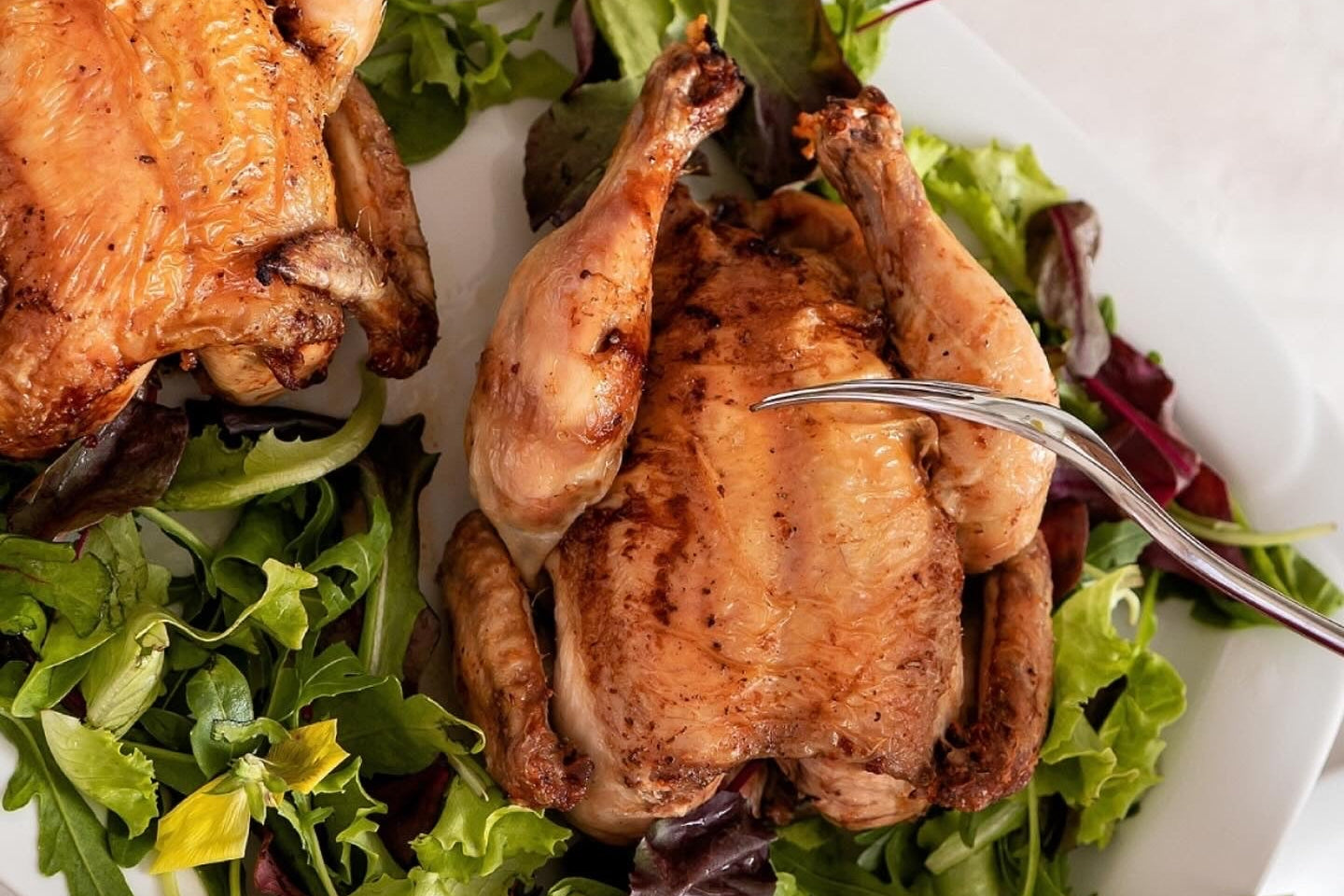 Galleto "Valle Spluga" | Scudetto Rosso "POUSSIN" jaunas viščiukas