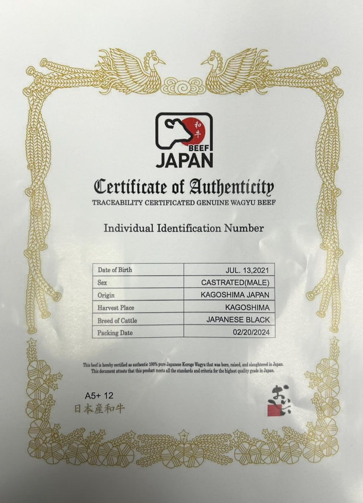 Kagoshima WAGYU Jautiena | A5+ BMS 10-12 „Tenderloin“ Išpjova