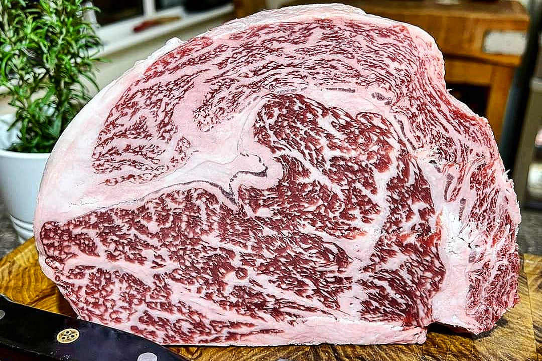 Kagoshima WAGYU Jautiena | A5+ BMS 10-12 „Ribeye“ Antrekoto Steikas