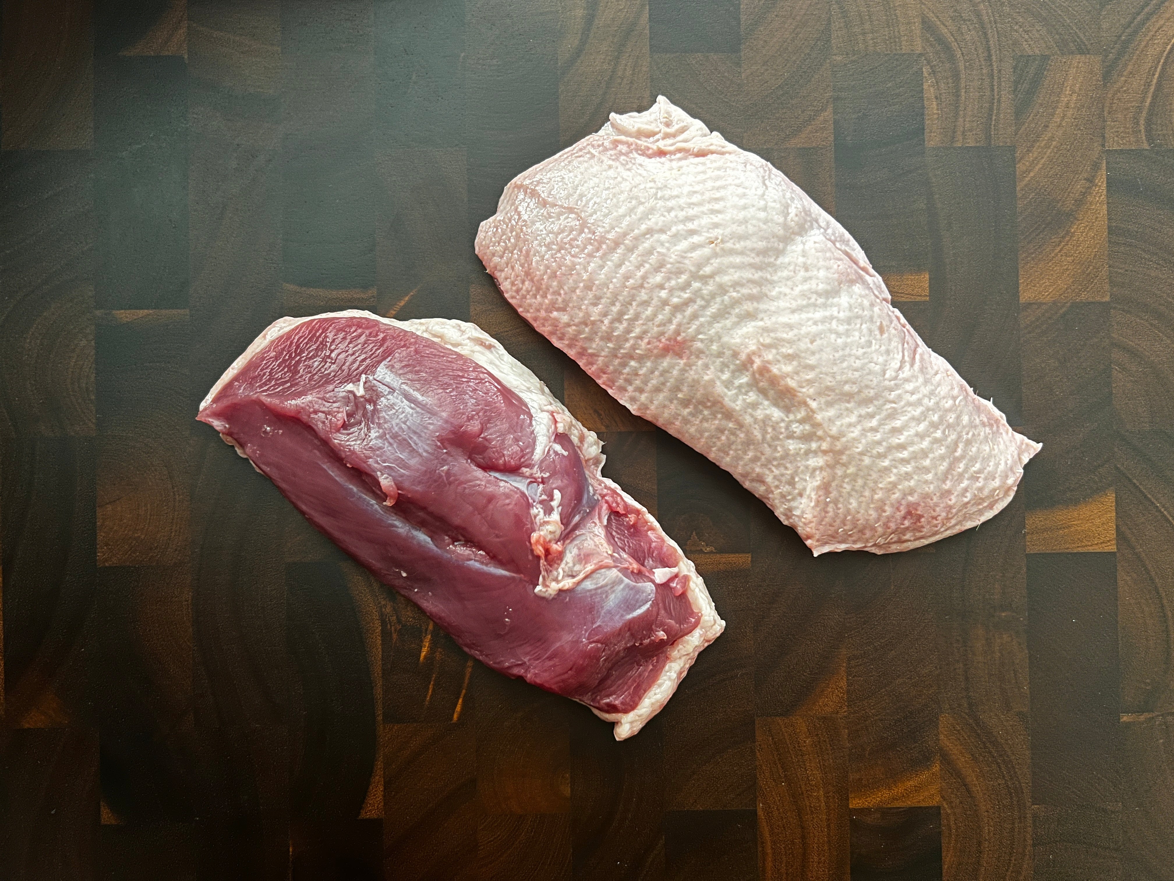 Premium "Penelope" jauna pekino antis | Krūtinėlių filė