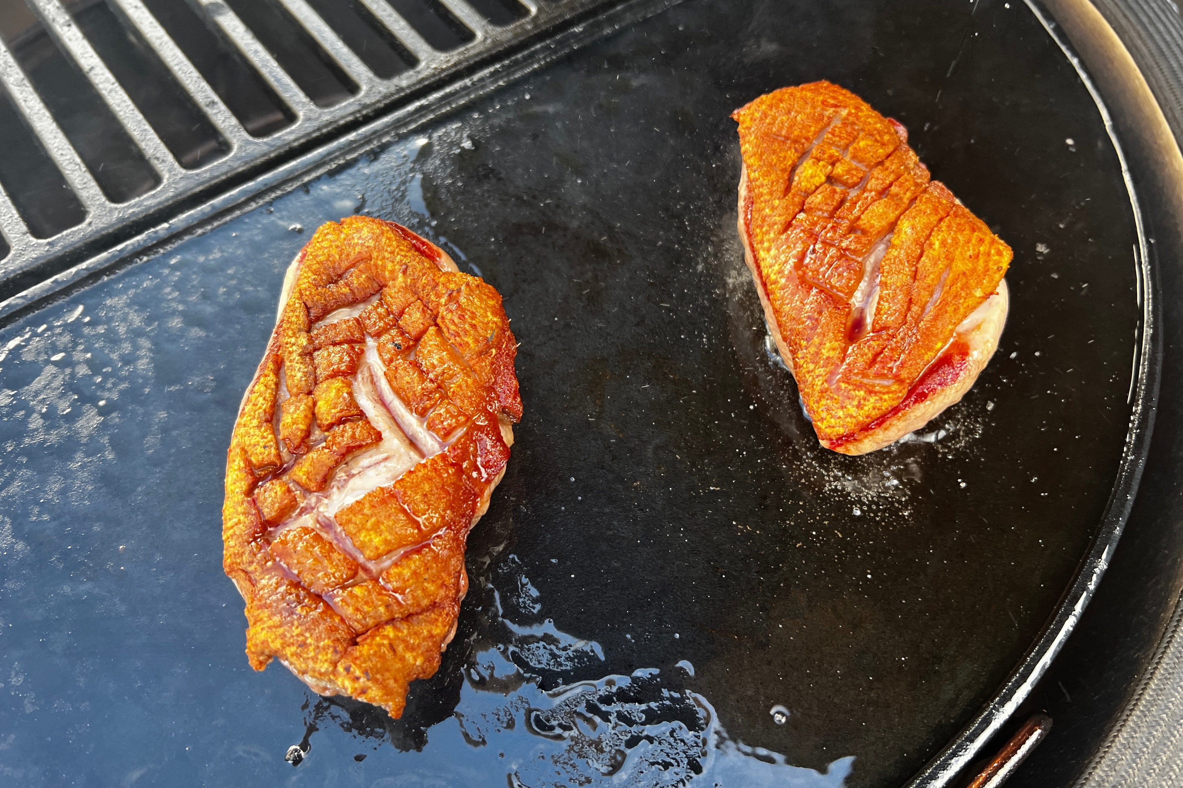 Premium "Penelope" jauna pekino antis | Krūtinėlių filė